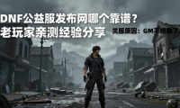 DNF公益服发布网哪个靠谱？老玩家亲测经验分享