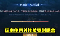 魔域私服外挂危害大，破坏公平性影响玩家体验，如何辨别？