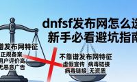dnfsf发布网怎么选 新手必看避坑指南