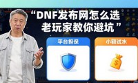 DNF发布网怎么选 老玩家教你避坑