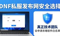 想玩DNF私服？dnf发布网这样选才靠谱（30字）