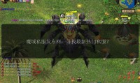 魔域私服发布网的优势与问题分析：如何选择适合自己的私服版本