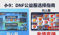 DNF公益服怎么选？三年老玩家教你避开跑路坑