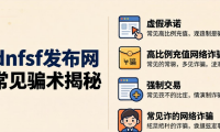 dnfsf发布网怎么选？老玩家教你避开坑服骗术