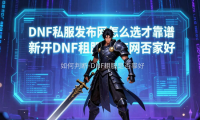 DNF私服发布网怎么选才靠谱 新开DNF私服发布网哪家好