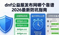 dnf公益服发布网哪个靠谱 2026最新防坑指南